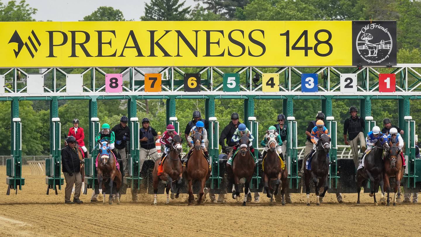 Photo Jockeys and horses take to the track at The Preakness Stakes The Baltimore Banner